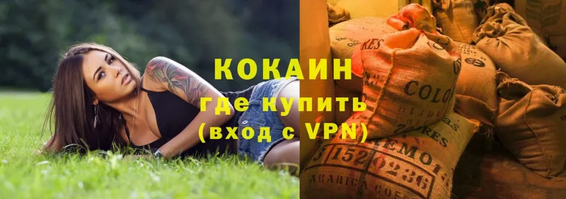 где найти   Фёдоровский  COCAIN Боливия 